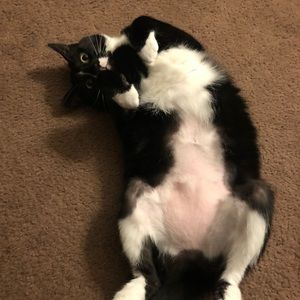 Meet your Posher, Vincent